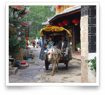 Chinese Cart Chinese Cart